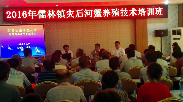 儒林镇举办灾后河蟹...