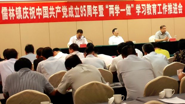 儒林镇开展“两学一...